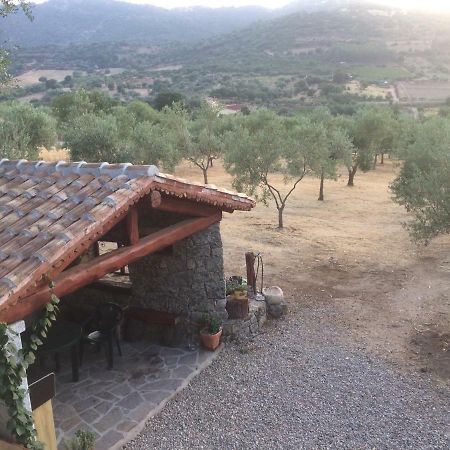 Villa S'umbra de S'ozzastru Orgosolo Exterior foto